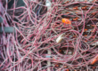 The Cable Drawer Guide Which Old Cables, Chargers and Leads Are Worth Recycling