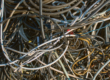 Why Main and Multi-Trade Contractors Choose Cable Wire Recycling as a Single Site-Wide Cable Waste Partner